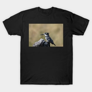 Pied Kingfisher T-Shirt